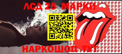 крисы Можга