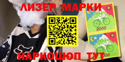 крисы Можга