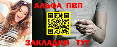 крисы Можга