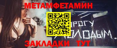 крисы Можга