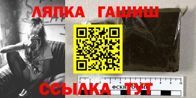 крисы Можга