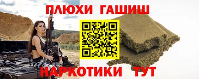 крисы Можга