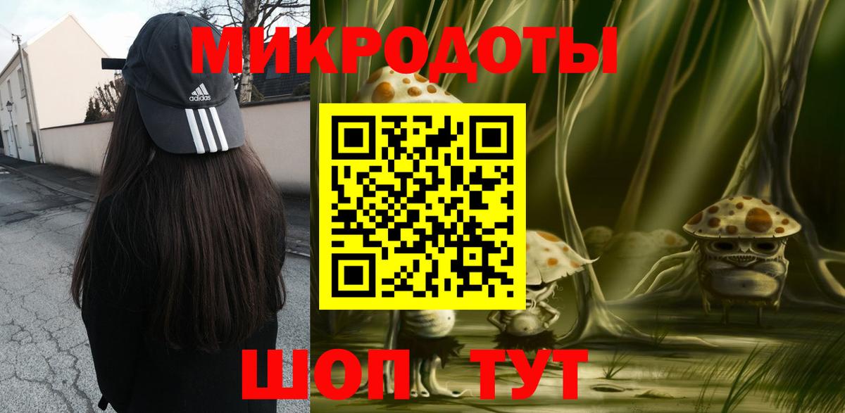Галлюциногенные грибы Psilocybe Тара