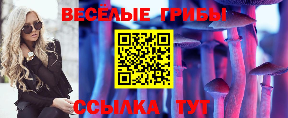Тара  Псилоцибиновые грибы мухоморы  Вход с VPN 