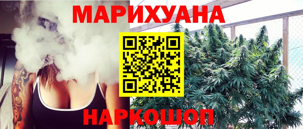 Канабис сатива Тара